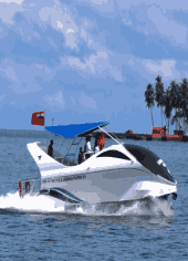 Andaman Dolphine Glass Bottom Boat Ride Activity In Andaman